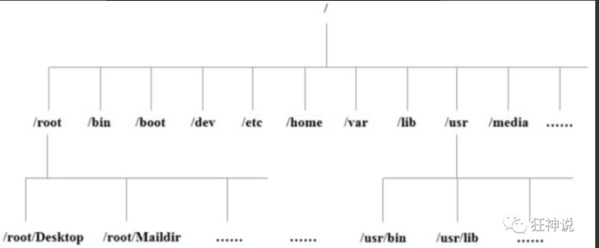 Linux01：常用的基本命令及概述及环境搭建(狂神说)