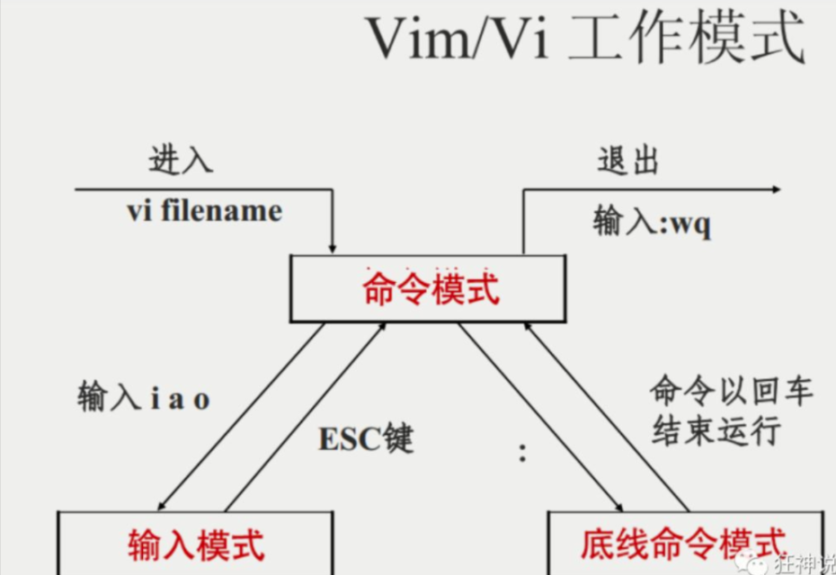 Linux02：Vim使用及账号、磁盘、进程管理(狂神说）